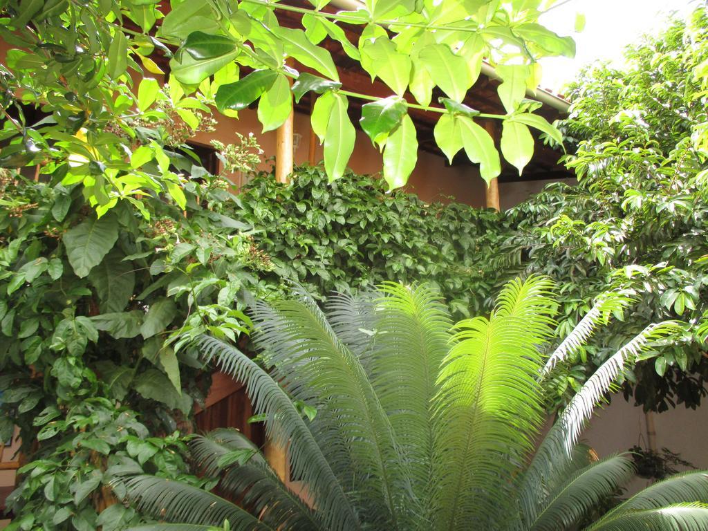 Pousada Casa De Nomades Vale do Capao Exterior foto
